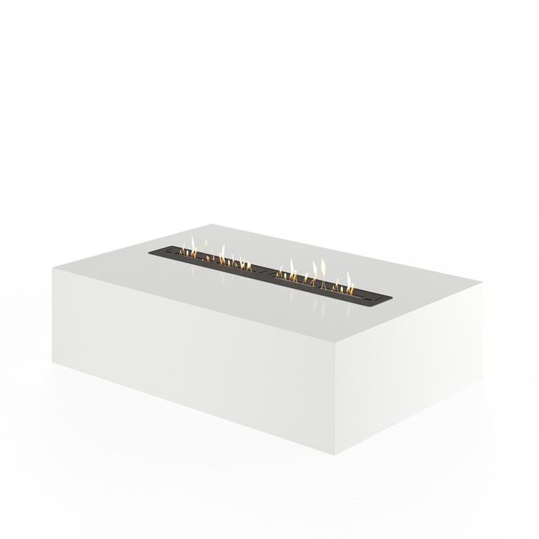 586695_23092024134654