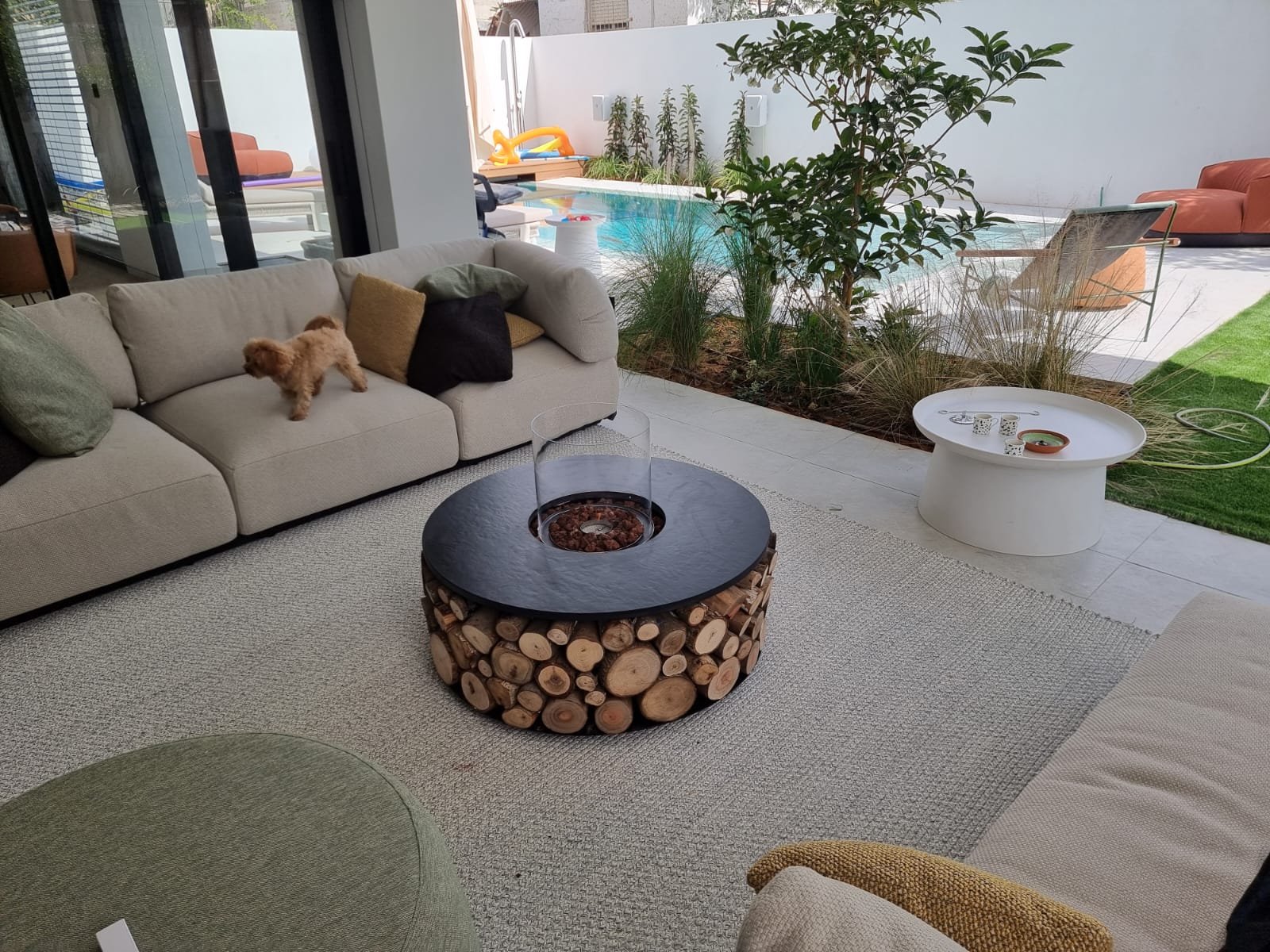 WhatsApp Image 2025-10-12 at 12.07.50